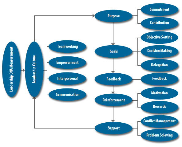 Leadership Development Architecture
